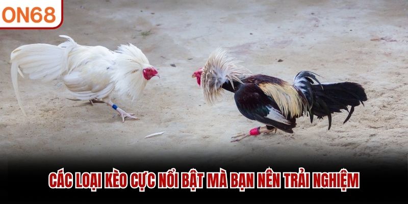 C&aacute;c loại k&egrave;o cực nổi bật m&agrave; bạn n&ecirc;n trải nghiệm