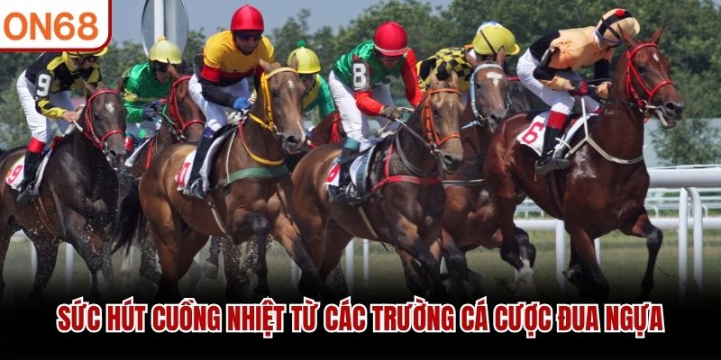 Sức h&uacute;t cuồng nhiệt từ c&aacute;c trường c&aacute; cược đua ngựa